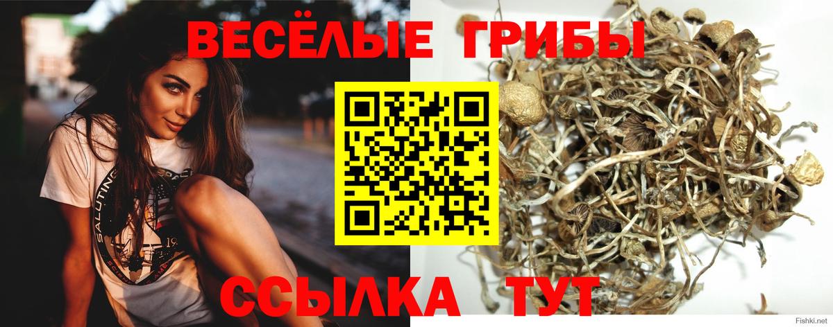 Раменское  купить наркотик  Вход с VPN  Псилоцибиновые грибы Magic Shrooms 